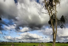 虎扑体育：代表皇马传奇队出战，卡西、佩佩、阿韦洛亚参加贝肯鲍尔杯.